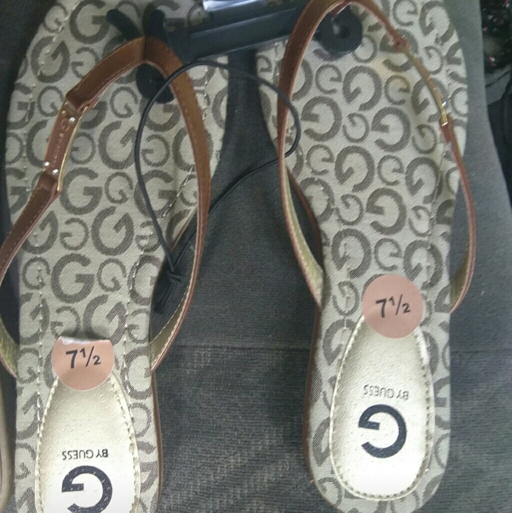 Guess slides